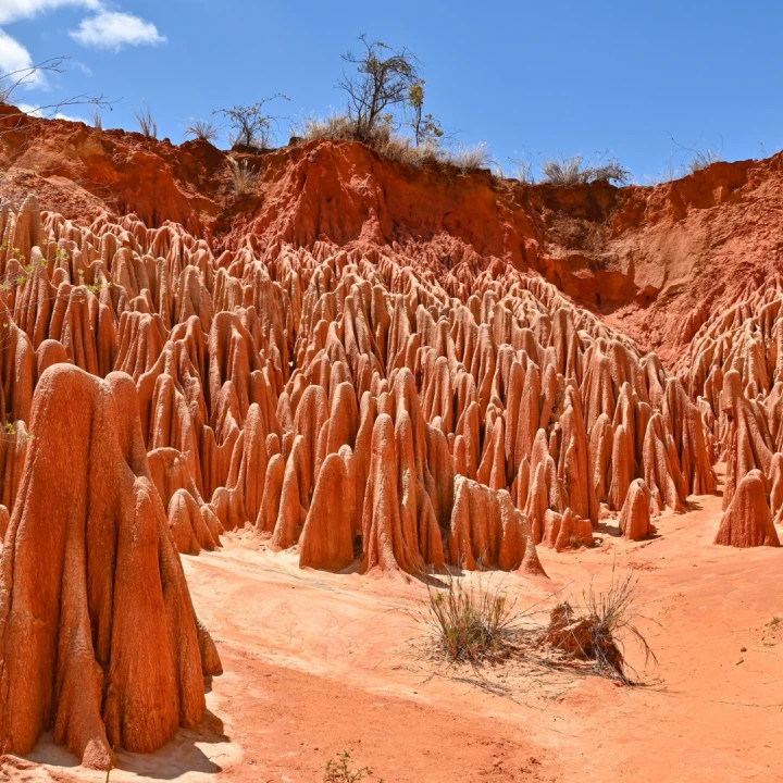 MADAGASCAR – Nordul Insulei Roșii & Nosy Be